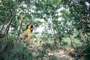 BIB: 
                            <button type="button" onclick="openModal(25986087)" class="btn btn-primary btn-sm float-right btn-popup" data-toggle="modal" data-target=".modal-high-quality">
                        <i class="fas fa-shopping-cart"></i> Add to Cart
                    </button>
                                            <button type="button" onclick="isThisMe(25986087, true)" class="btn btn-success btn-sm float-right btn-popup btn-isme hidden" data-toggle="tooltip" data-placement="bottom" title="นี่คือรูปของคุณใช่ไหม คลิกที่นี่เพื่อเอาเข้าอัลบั้ม">
                        <i class="fas fa-plus"></i> Add to album
                    </button>
                    <button type="button" onclick="isThisMe(25986087, false)" class="btn btn-warning btn-sm float-right btn-popup btn-isnotme hidden">
                        <i class="fas fa-ban"></i> Remove from album
                    </button>